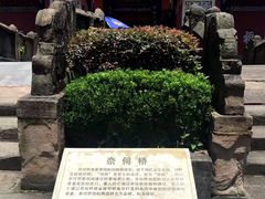 -丰都鬼城名山景区
