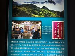 -黄金博物馆