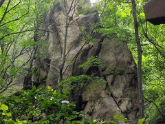 -大岭沟猕猴桃谷风景区