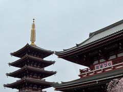 -浅草寺