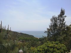 -广东惠东海龟国家级自然保护区