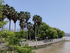 -江心屿景区
