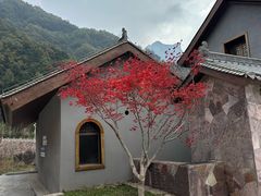 -太行锡崖沟旅游度假区
