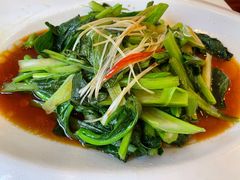 白灼广东菜心-鑫巴蜀小镇 · 水煮鱼专研店(玉桥店)