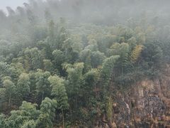 -江南天池
