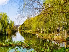 -昆山城市生态森林公园