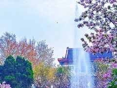 -山东师范大学(千佛山校区)