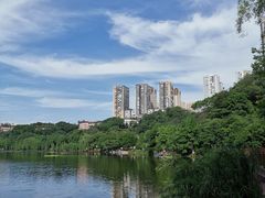 -重庆彩云湖湿地公园