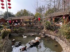 -青城甲(青城山店)