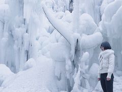 -黑龙潭风景区