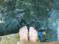 -三亚珠江南田温泉度假区