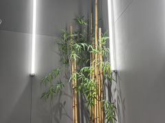 -M Stand(成都COSMO店)