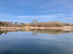 -大兴滨河森林公园