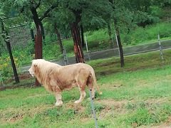 -秦皇岛野生动物园