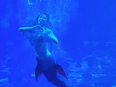 -太平洋海底世界