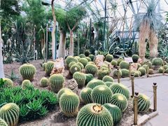-北京植物园-展览温室