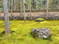 -西芳寺(苔寺)