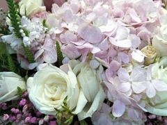 -那些花儿鲜花店(小寨店)