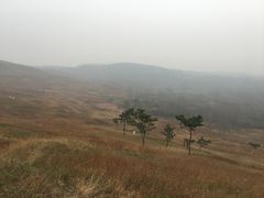 -恋山坝上草原