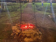 -前小桔亲子创意农场·草莓采摘·露营烧烤