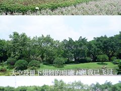 -云溪植物园