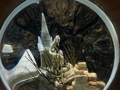 -太平洋海底世界