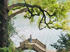 -蒋氏故居