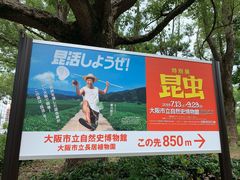-大阪市立自然史博物馆