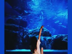 -暹罗海洋世界