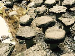 iphone_upload_pic-牛背梁国家森林公园
