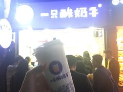 -一只酸奶牛(八一路店)
