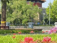 -北京市劳动人民文化宫(太庙)