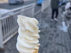 -萨朗刀克冰淇淋雪花凉(植物园店)