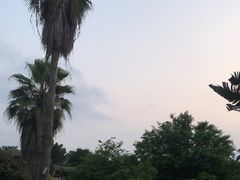 -侯臣咖啡文化村