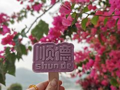-顺峰山公园