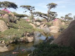 -罗红摄影艺术馆