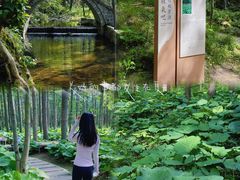 -洛阳白云山景区