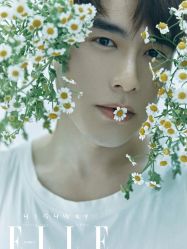 -贝勒爷专业男发