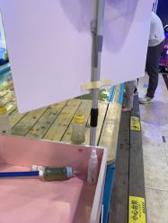 点击看大图 -卡通尼·Safari非洲探索乐园·生日会(金桥国际商业广场店)