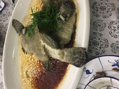龙趸鱼-客家汇·客家传承菜(水库店)