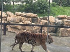 -南京金牛湖风景区