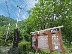 -青峰峡国家森林公园