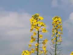 -中国天府农业博览园