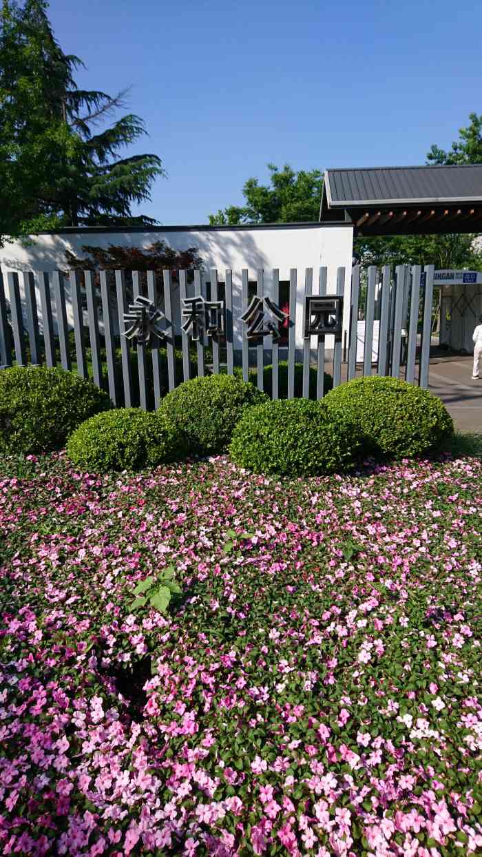 永和公园-"永和公园也是工建配套的社区公园,这里现在.