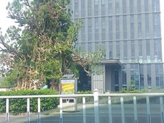 -淄博聊斋城景区