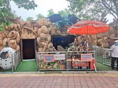 -朝阳公园游乐园