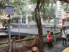 -探窝·竹笙椰子鸡(杨箕店)