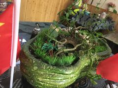 -张干馏(保利江上明珠2期店)