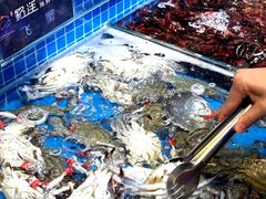 -乔哥铭洋海鲜自助(皇城恒隆广场店)