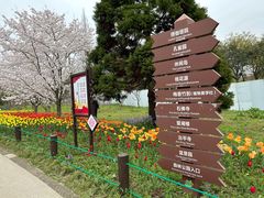 -苏州上方山国家森林公园